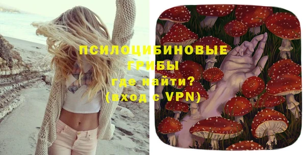 твердый Армянск