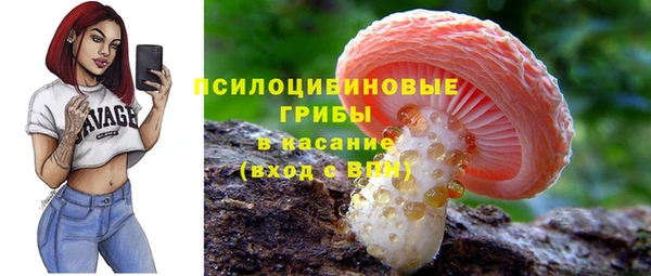 ГАЛЛЮЦИНОГЕННЫЕ ГРИБЫ Арсеньев