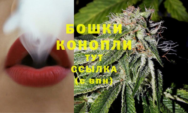 ГАЛЛЮЦИНОГЕННЫЕ ГРИБЫ Арсеньев