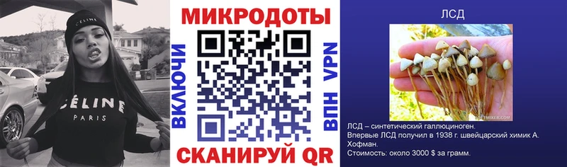 Галлюциногенные грибы Psilocybine cubensis  Рузаевка 